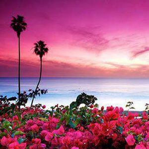 Meet your Posher, Jolie